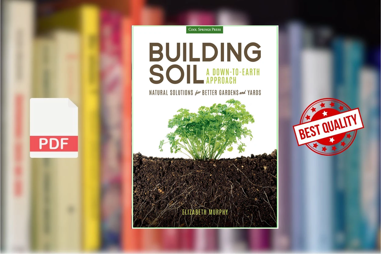 Cover for Building Soil A Down-to-Earth Approach Natural Solutions for Better Gardens  Yards (Elizabeth Murphy)
