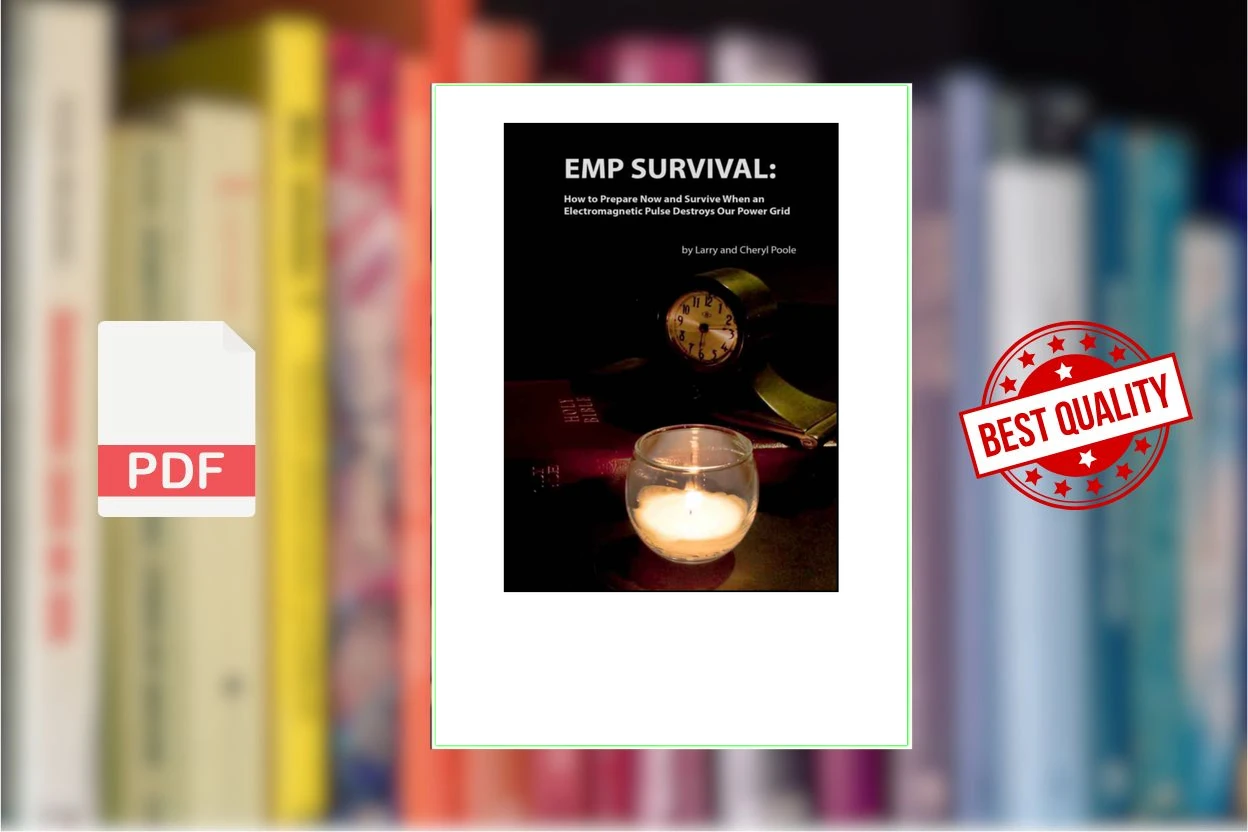 Cover for EMP Survival How to Prepare and Survive, When an Electromagnetic Pulse Destroys Our Power Grid (Larry Poole)