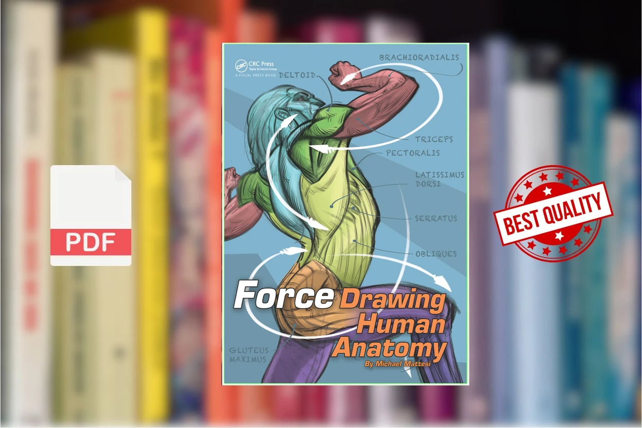 Cover for Force. Drawing human anatomy (Michael D. Mattesi)