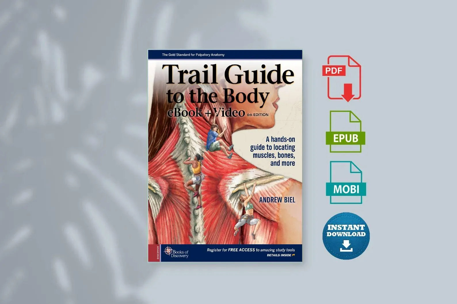 Cover for Trail Guide to the Body 6th Edition [Ebook]